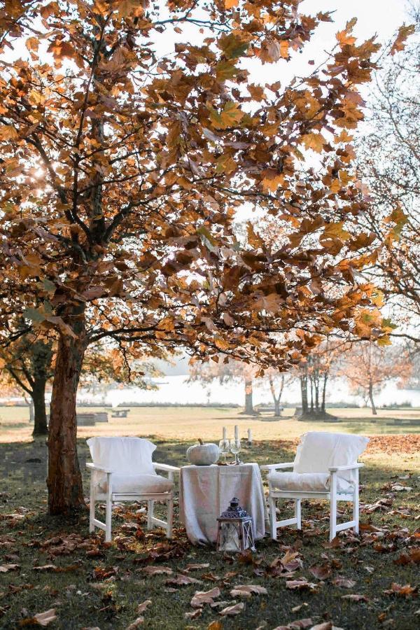Magnolia 호텔 나지카니자 외부 사진